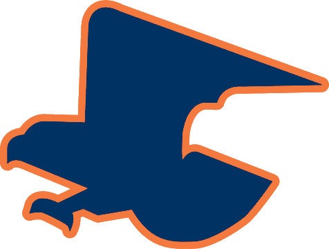Auburn Tigers 1976-1980 Secondary Logo iron on transfers for T-shirts